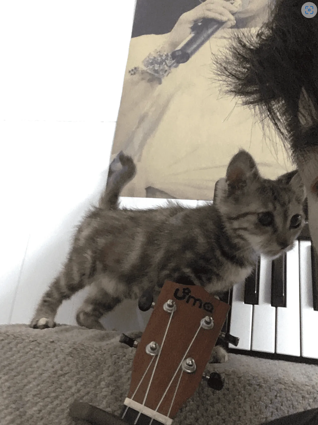 来我家第二天，对我的第一次试探